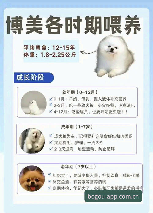 博狗APP安装安全吗？7个实战验证要点帮你避坑
